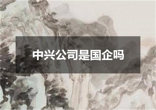 中兴公司是国企吗