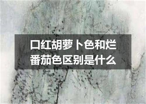 口红胡萝卜色和烂番茄色区别是什么