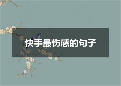 快手最伤感的句子