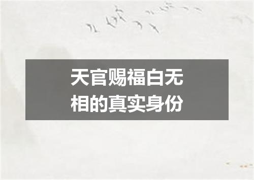 天官赐福白无相的真实身份