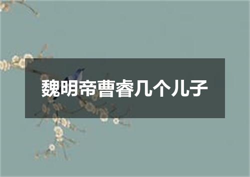 魏明帝曹睿几个儿子