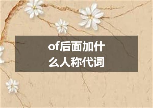 of后面加什么人称代词