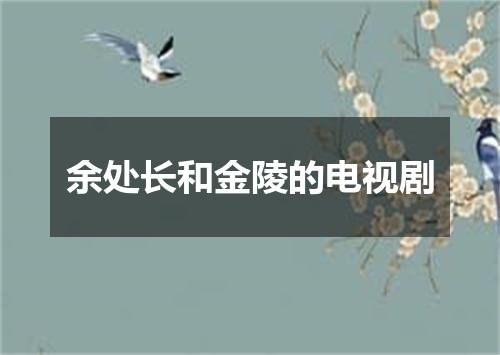 余处长和金陵的电视剧