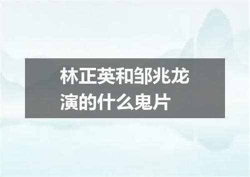 林正英和邹兆龙演的什么鬼片