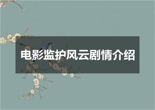 电影监护风云剧情介绍