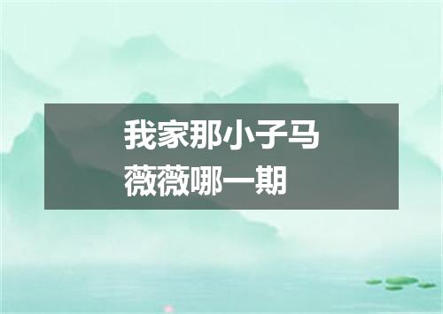 我家那小子马薇薇哪一期