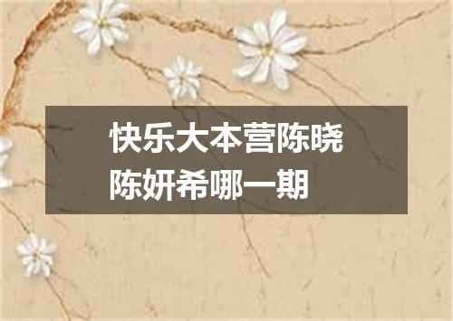 快乐大本营陈晓陈妍希哪一期