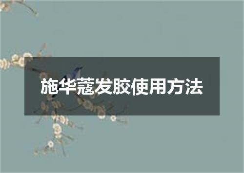 施华蔻发胶使用方法