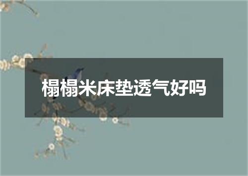 榻榻米床垫透气好吗