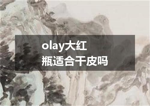 olay大红瓶适合干皮吗