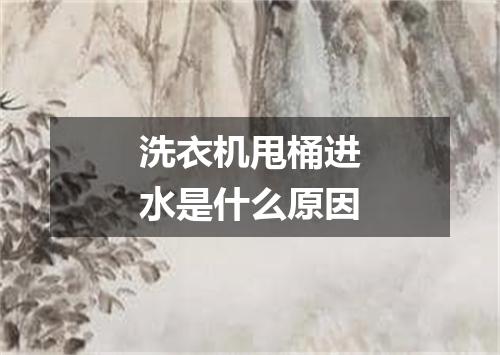 洗衣机甩桶进水是什么原因