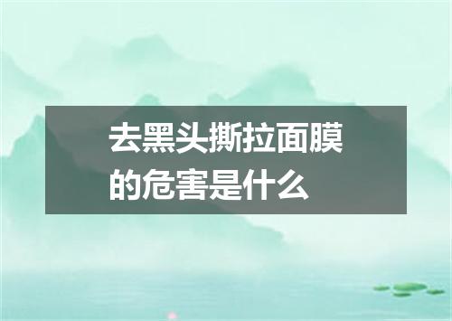 去黑头撕拉面膜的危害是什么
