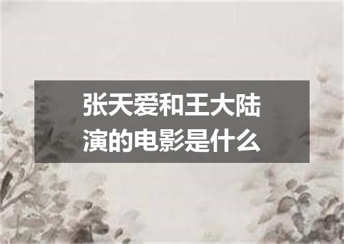 张天爱和王大陆演的电影是什么