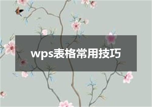 wps表格常用技巧