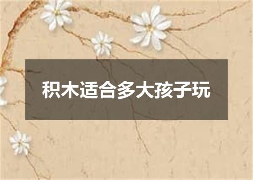 积木适合多大孩子玩