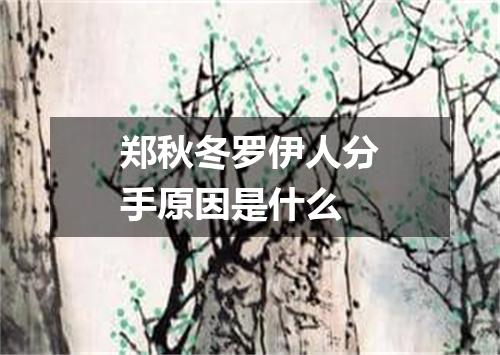 郑秋冬罗伊人分手原因是什么