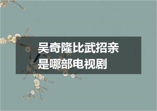 吴奇隆比武招亲是哪部电视剧