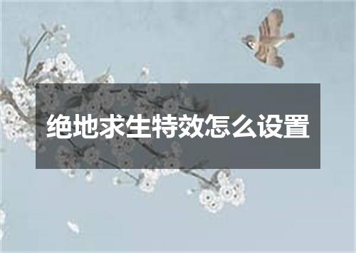 绝地求生特效怎么设置