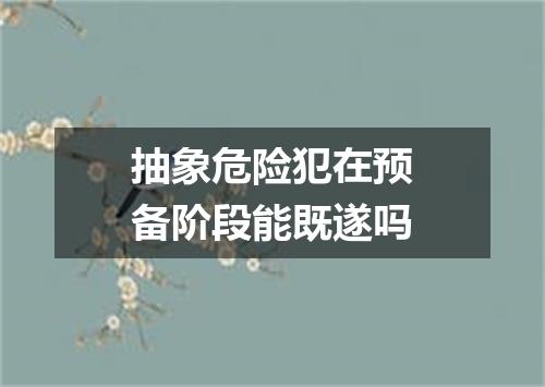 抽象危险犯在预备阶段能既遂吗