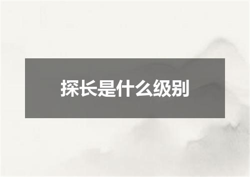 探长是什么级别