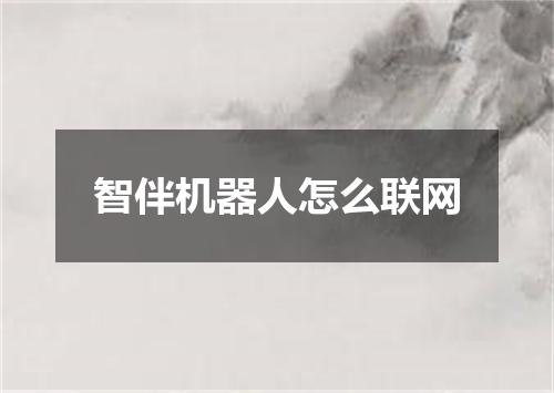 智伴机器人怎么联网