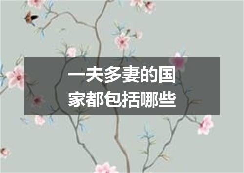 一夫多妻的国家都包括哪些