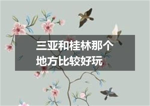 三亚和桂林那个地方比较好玩