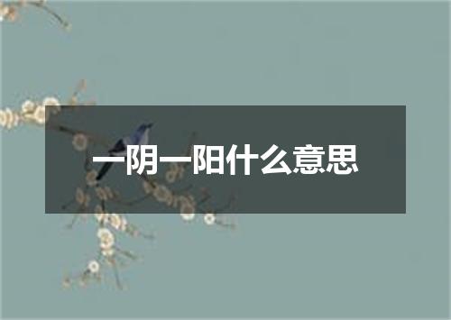 一阴一阳什么意思