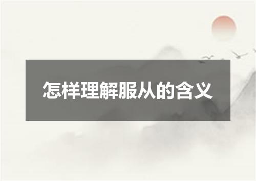 怎样理解服从的含义