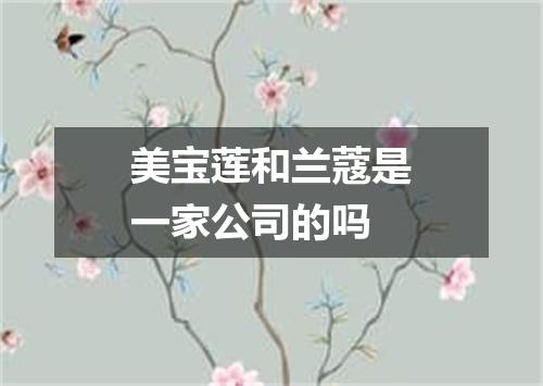 美宝莲和兰蔻是一家公司的吗