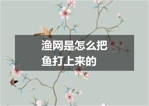 渔网是怎么把鱼打上来的