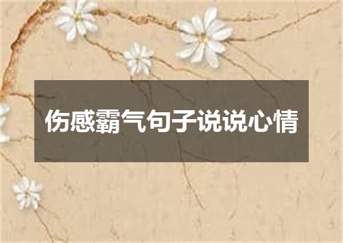 伤感霸气句子说说心情