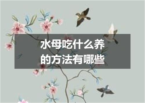 水母吃什么养的方法有哪些