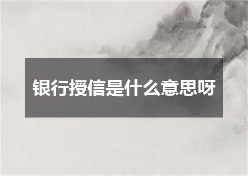 银行授信是什么意思呀