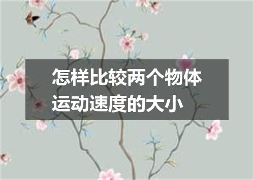 怎样比较两个物体运动速度的大小