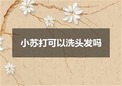 小苏打可以洗头发吗