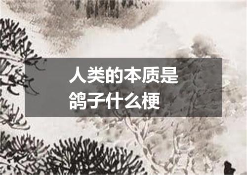 人类的本质是鸽子什么梗
