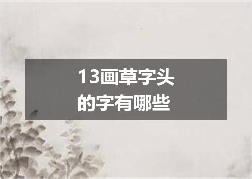 13画草字头的字有哪些