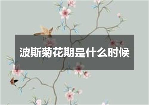 波斯菊花期是什么时候