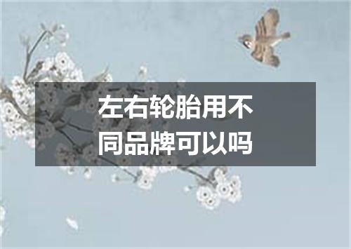 左右轮胎用不同品牌可以吗