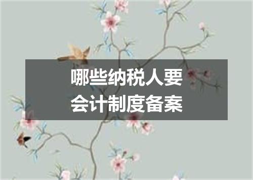 哪些纳税人要会计制度备案