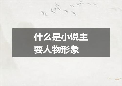 什么是小说主要人物形象