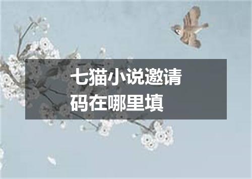 七猫小说邀请码在哪里填