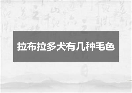 拉布拉多犬有几种毛色