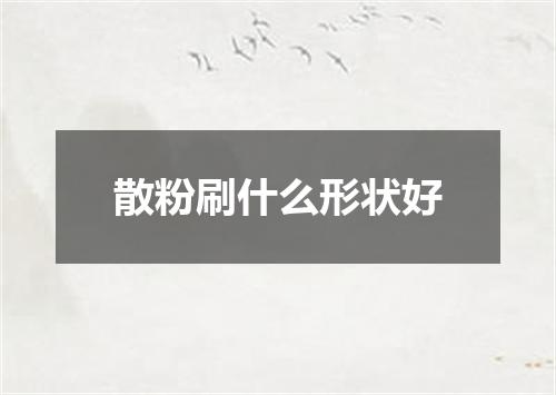 散粉刷什么形状好