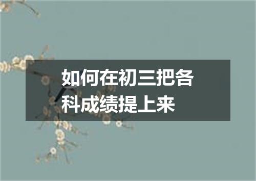 如何在初三把各科成绩提上来