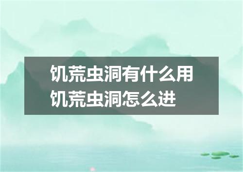 饥荒虫洞有什么用饥荒虫洞怎么进
