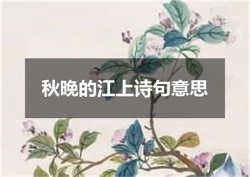 秋晚的江上诗句意思