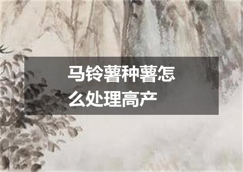 马铃薯种薯怎么处理高产