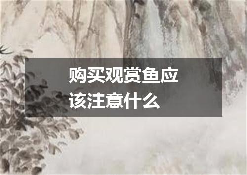购买观赏鱼应该注意什么